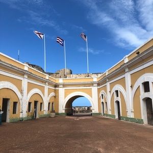 Meet your Posher, Shannon